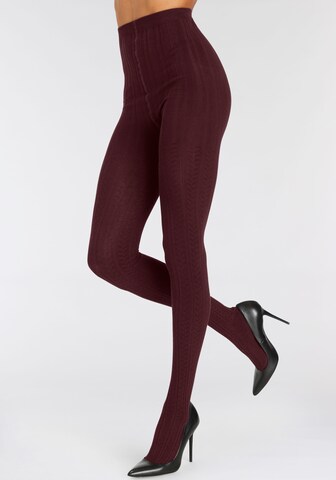LASCANA Tights in Red: front