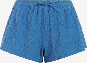 PROTEST Board shorts 'PRTMaritza' in Blue: front