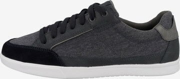 GEOX Sneakers laag 'Walee' in Grijs