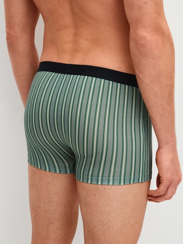 CALIDA - Boxers em verde