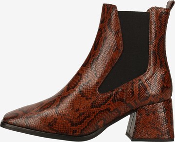 Wonders Chelsea Boots in Brown