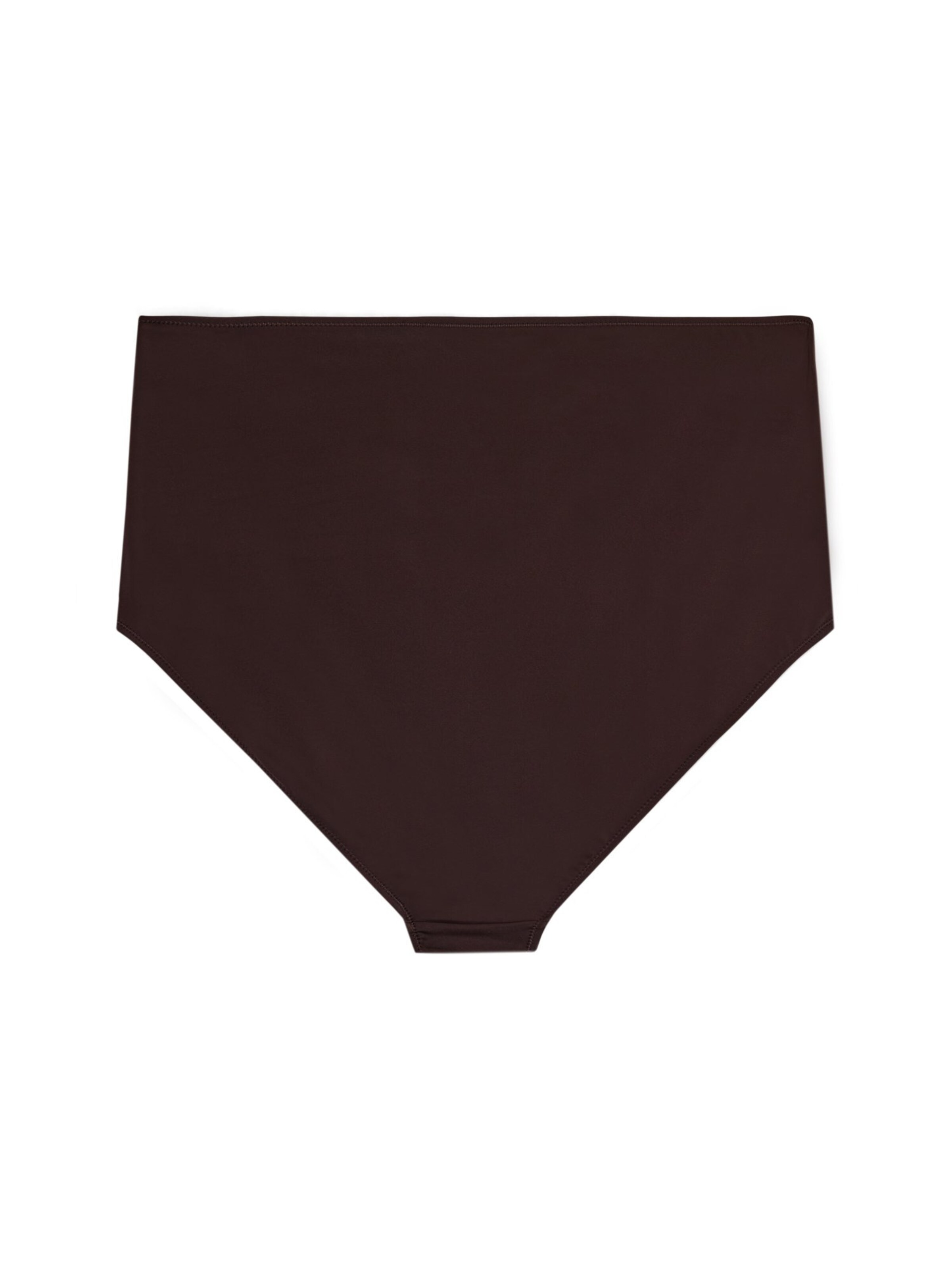 Slip bikini 'Basic' di Swim by Zizzi in marrone