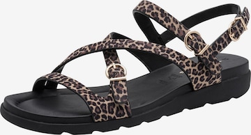 Sandales Tamaris en marron : devant