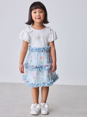 Baker by Ted Baker Рокля в синьо: отпред