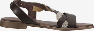 IGI&CO Strap Sandals in Brown