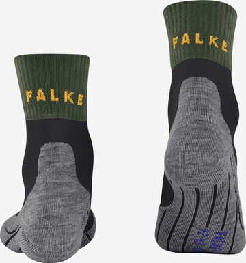 FALKE Athletic Socks in Mixed colors