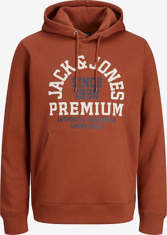 JACK & JONESSweater majica - smeđa boja: prednji dio