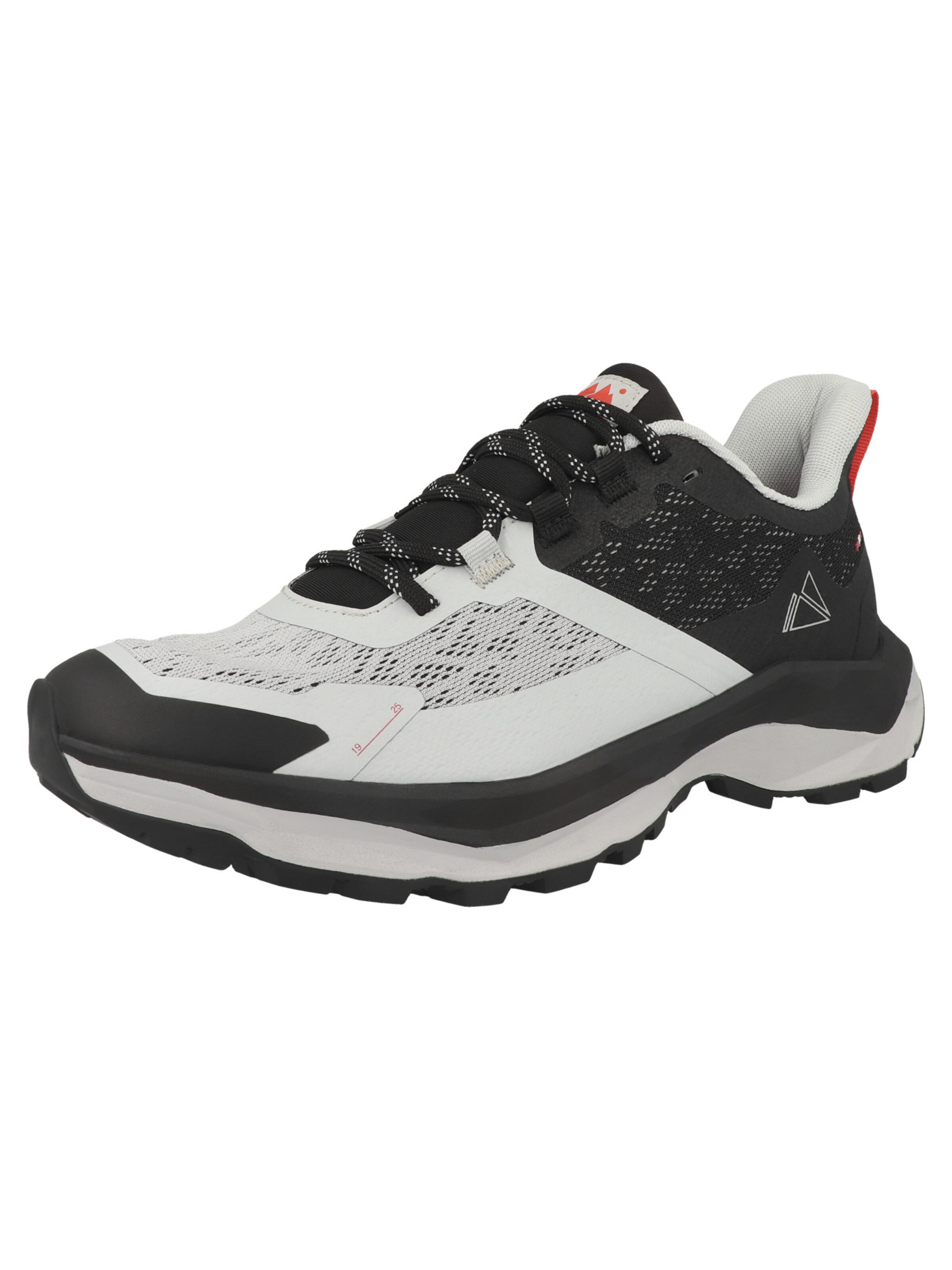 Dachstein Flats 'Silvretta Lite LC LFF ' in Grey: front