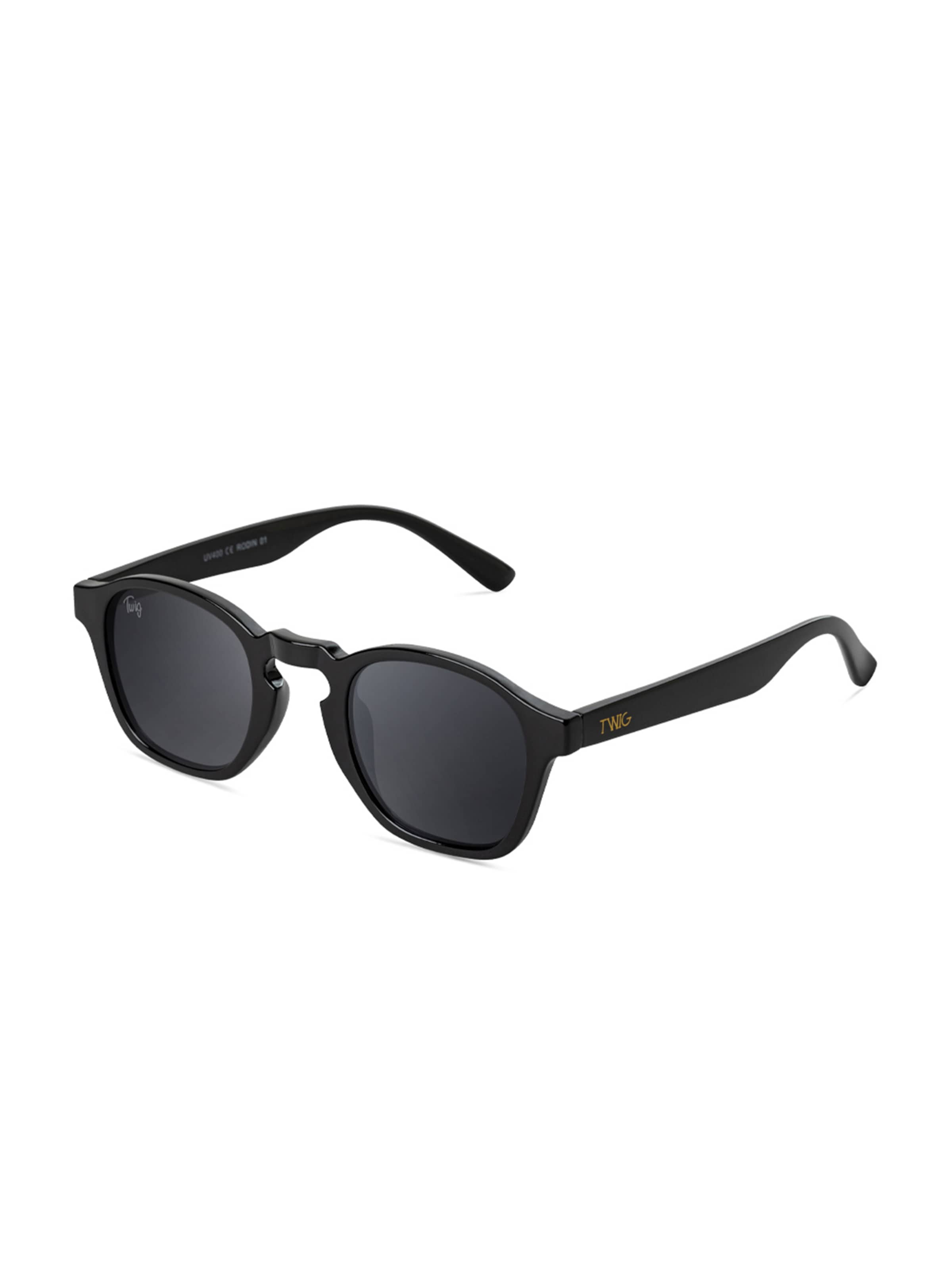 TWIG Concept Milano Sunglasses 'Rodin' in Black
