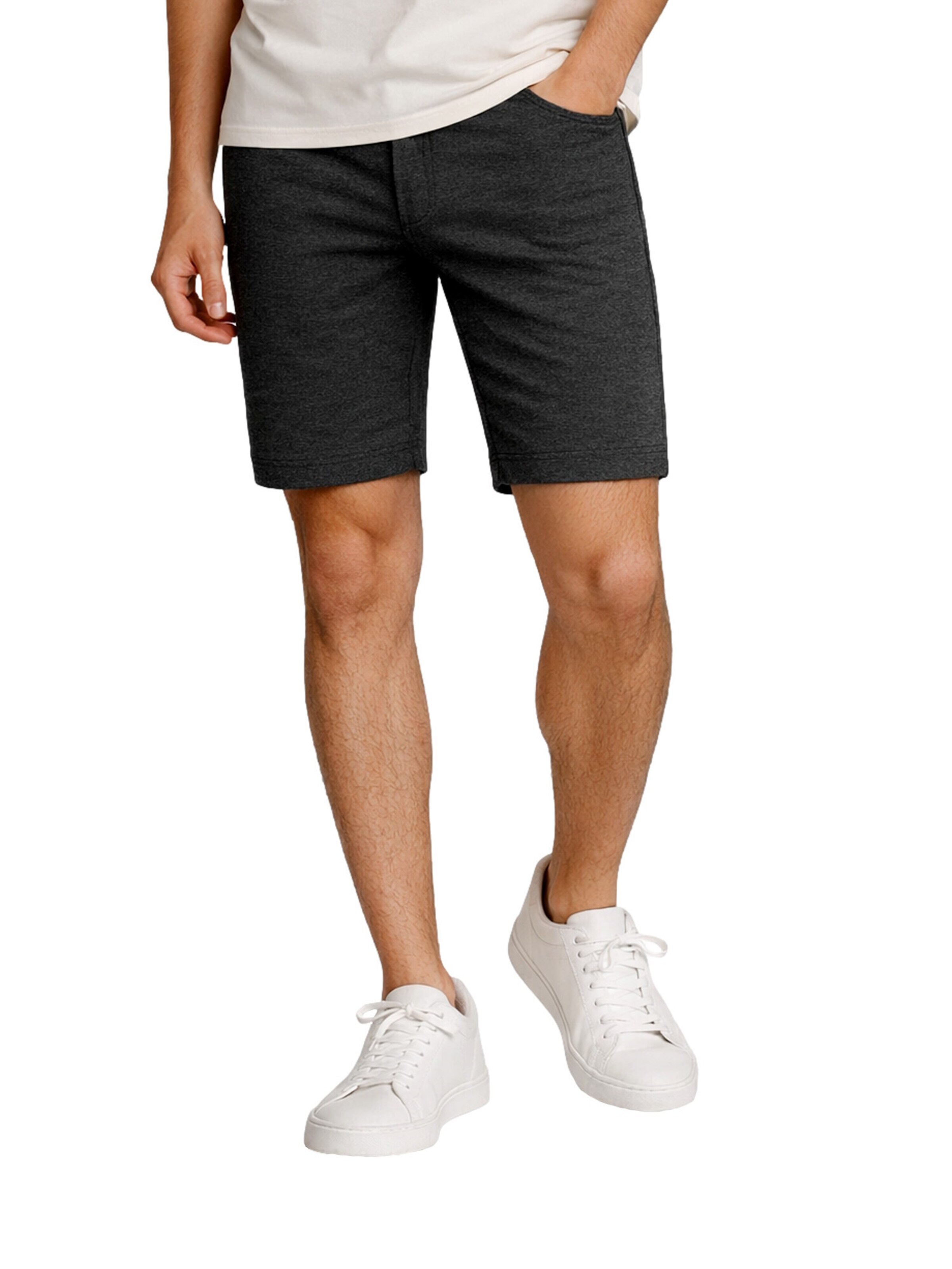 Regular Pantalon 'Aalborg' INDICODE en gris : devant