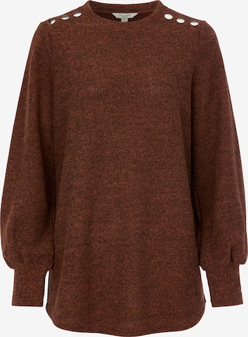 Cellbes of Sweden Pullover in Braun: Vorderseite