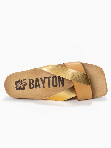 Zoccoletto 'Mildura' di Bayton in oro