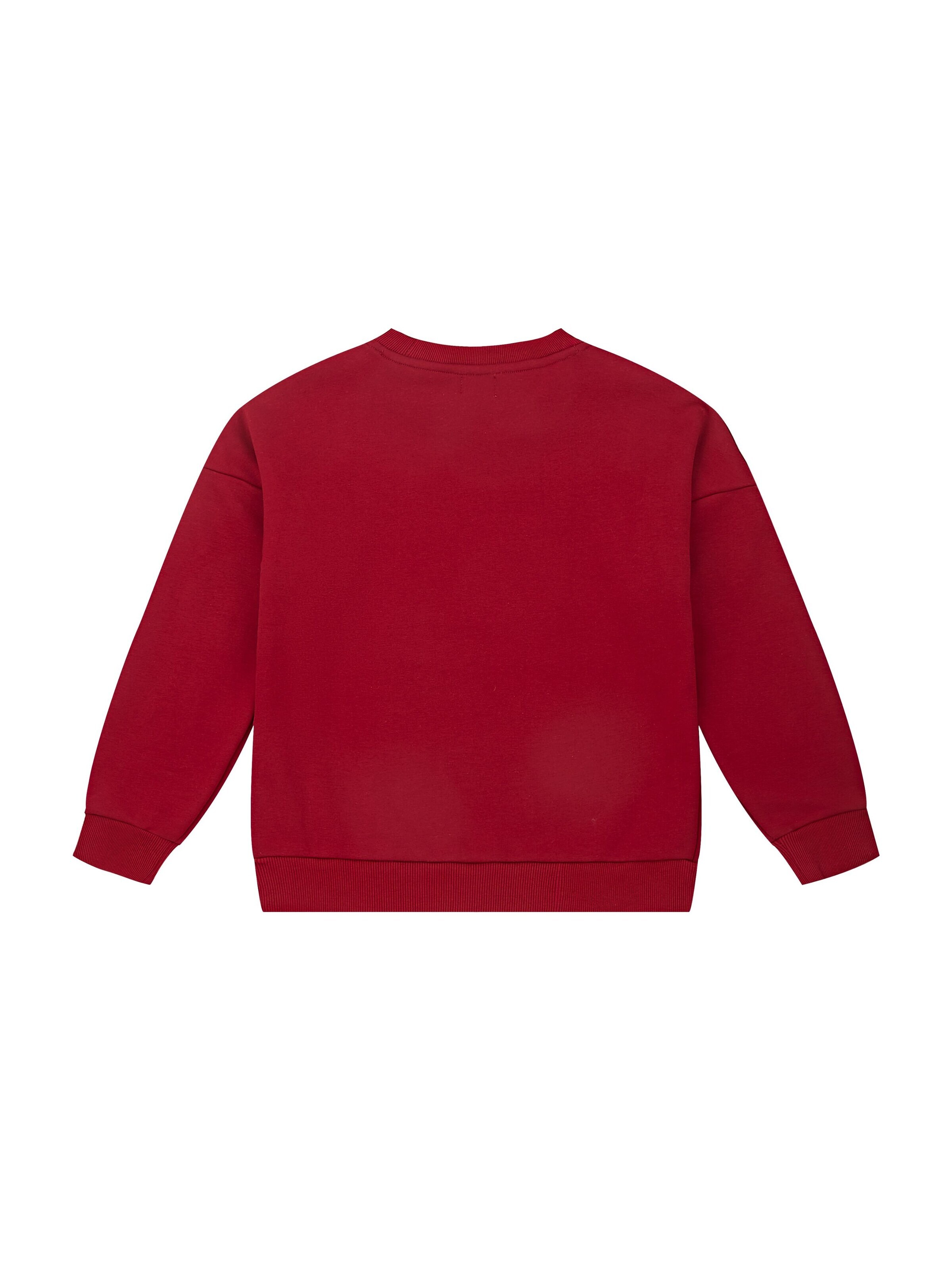 Sailing Sweatshirt 'Cherry' in Red