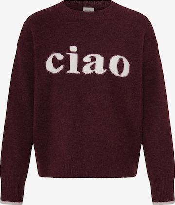 Pullover 'FRFLORENCE' di Fransa in rosso: frontale