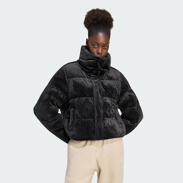 ADIDAS ORIGINALS Winterjas in Zwart: voorkant