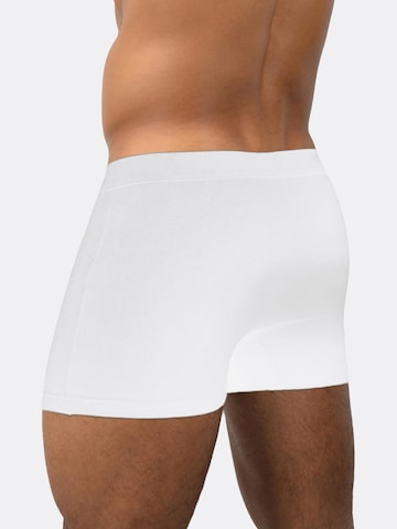 normani Boxershorts in Wit