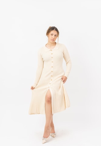 Elara Knit dress in Beige