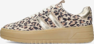 Baskets basses 'Anemone' PS Poelman en beige : devant