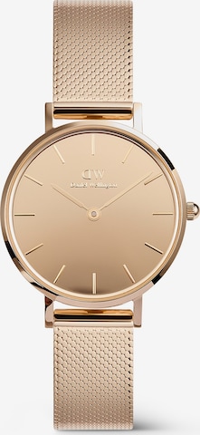 Daniel Wellington Analog watch in Gold: front