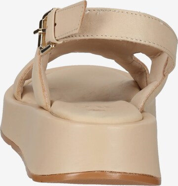 ILC Sandalen met riem in Beige