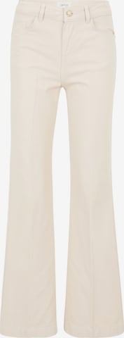 CartoonFlared/zvonoliki kroj Hlače na crtu - roza boja: prednji dio