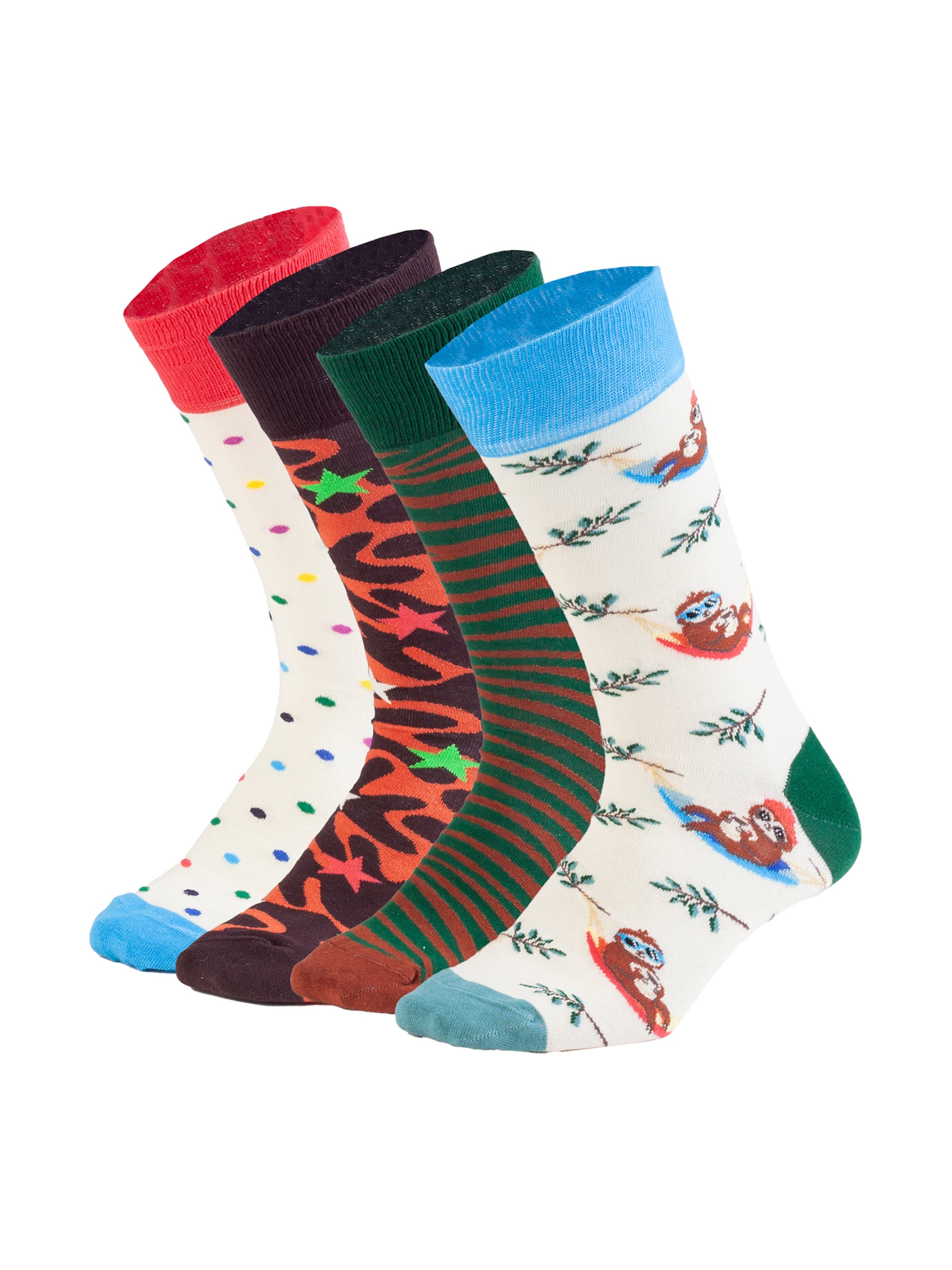 DillySocks Socken in Mischfarben: Vorderseite