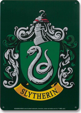 LOGOSHIRT Blechschild 'Harry Potter - Slytherin' in Mischfarben: predná strana