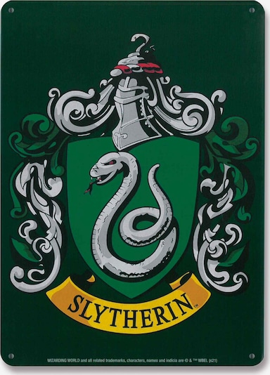 LOGOSHIRT Blechschild 'Harry Potter - Slytherin' in One Size in mischfarben, Produktansicht