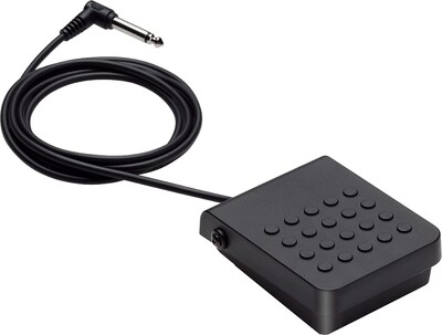 CASIO CASIO Musikinstrumentenpedal in schwarz, Produktansicht