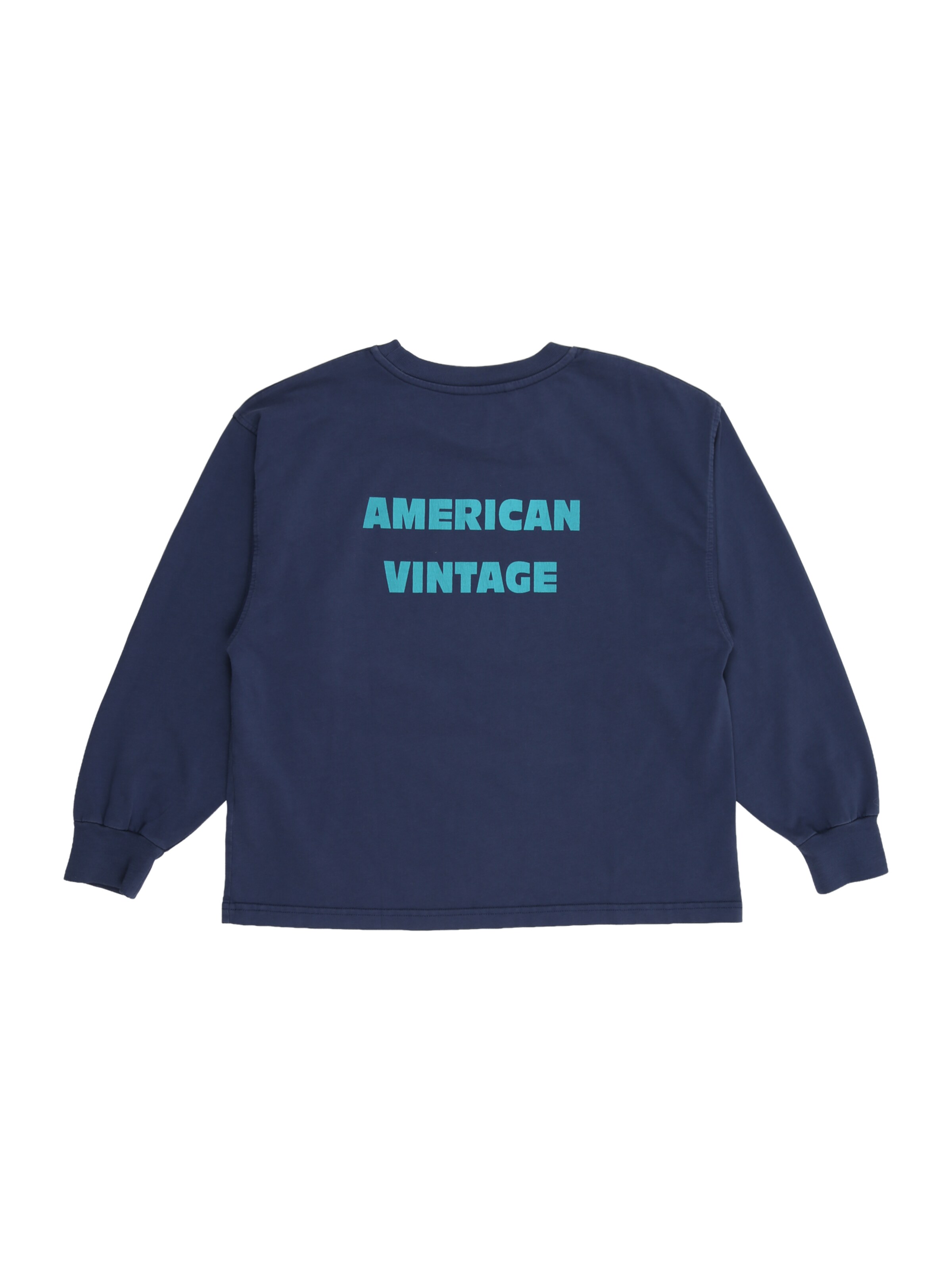 Tricou 'FIZVALLEY' de la AMERICAN VINTAGE pe albastru