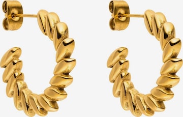 Boucles d'oreilles 'Big Leaf' PURELEI en or : devant