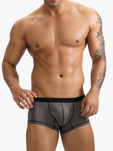 BIMONI Boxer shorts 'Dünn' in Grey: front