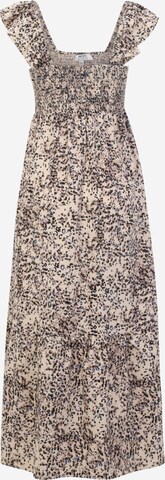 Dorothy Perkins Petite Kleid in Braun