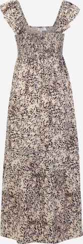 Dorothy Perkins Petite Dress in Brown