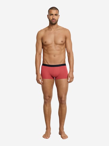 Hanro - Boxers ' Micro Touch ' em rosa: frente