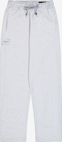 ALPHA INDUSTRIES Loosefit Housut värissä harmaa: etupuoli