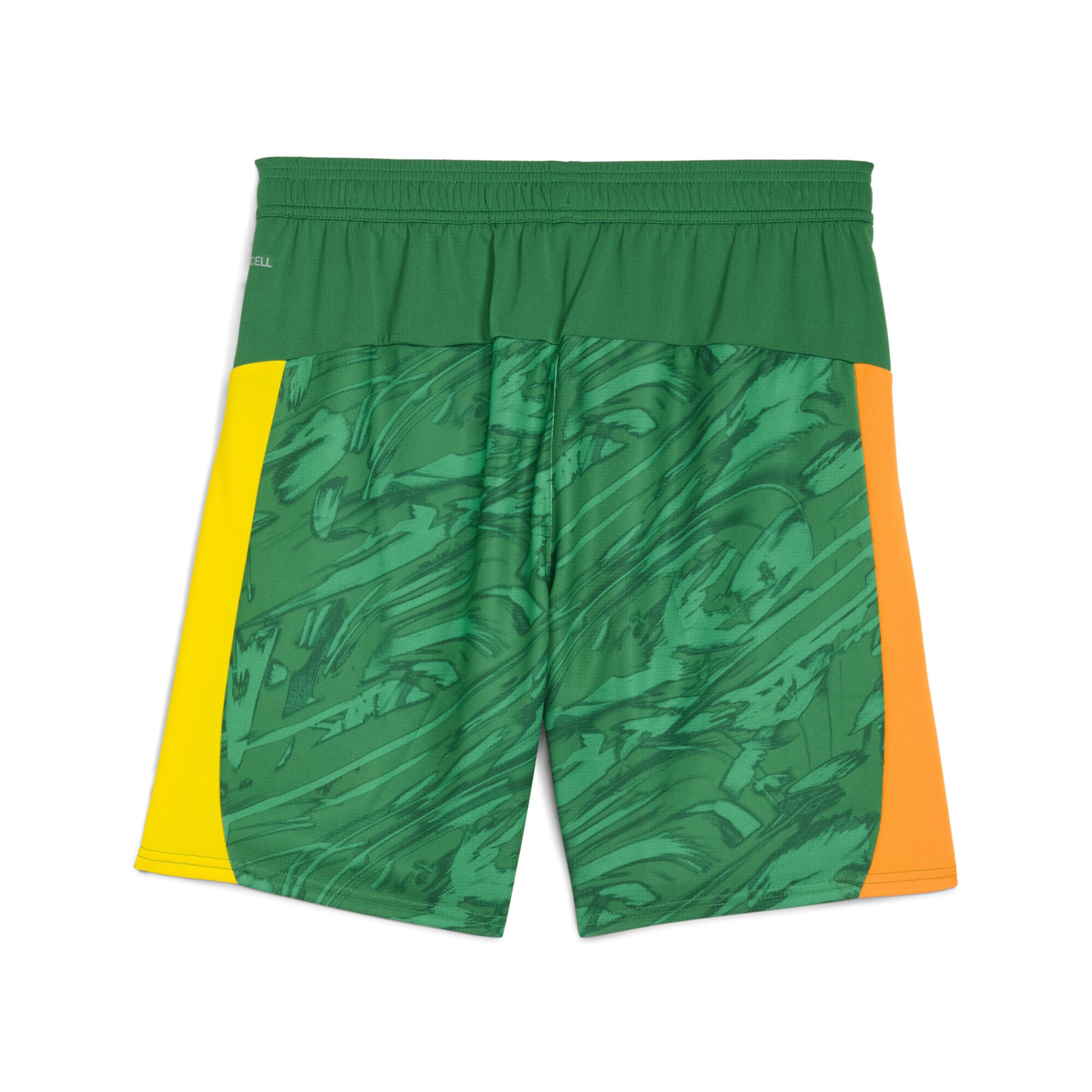 PUMA Regular Sportbroek 'Borussia Dortmund 25/26' in Groen