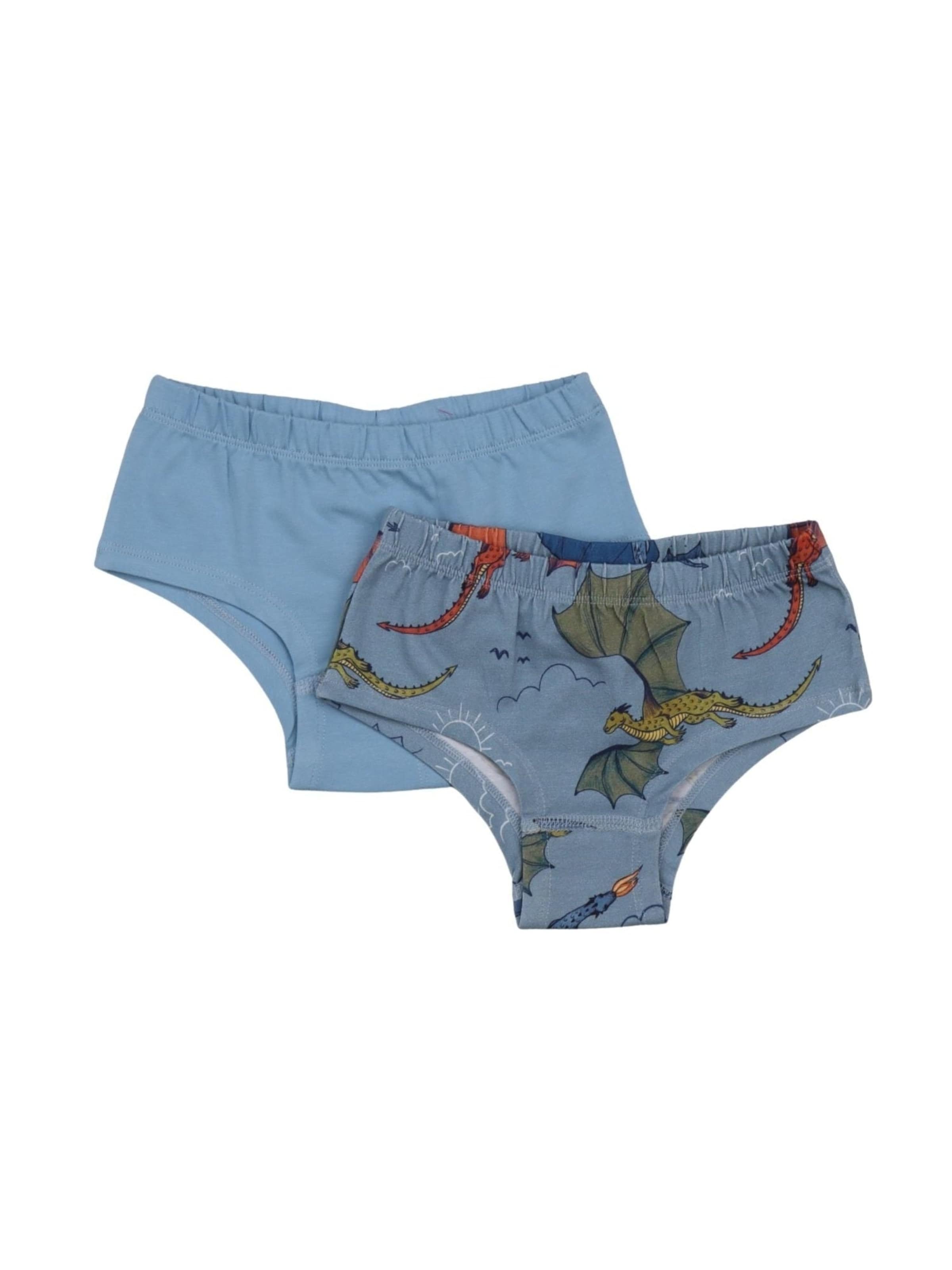 Walkiddy Underpants 'Dragon-Brief' in Blue: front