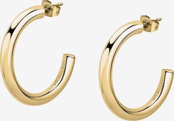 FAVS Ohrringe in Gold: Vorderseite