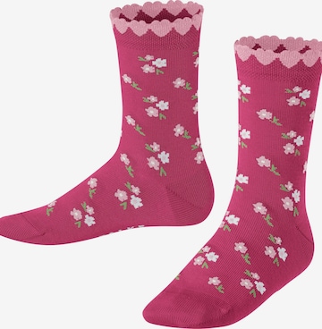 FALKE Socks 'Ditsy Flowers' in Pink: front