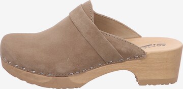 SOFTCLOX Clogs 'Tamina' in Grau