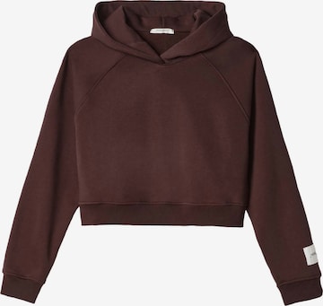 HINNOMINATE Sweatshirt in Brown: front