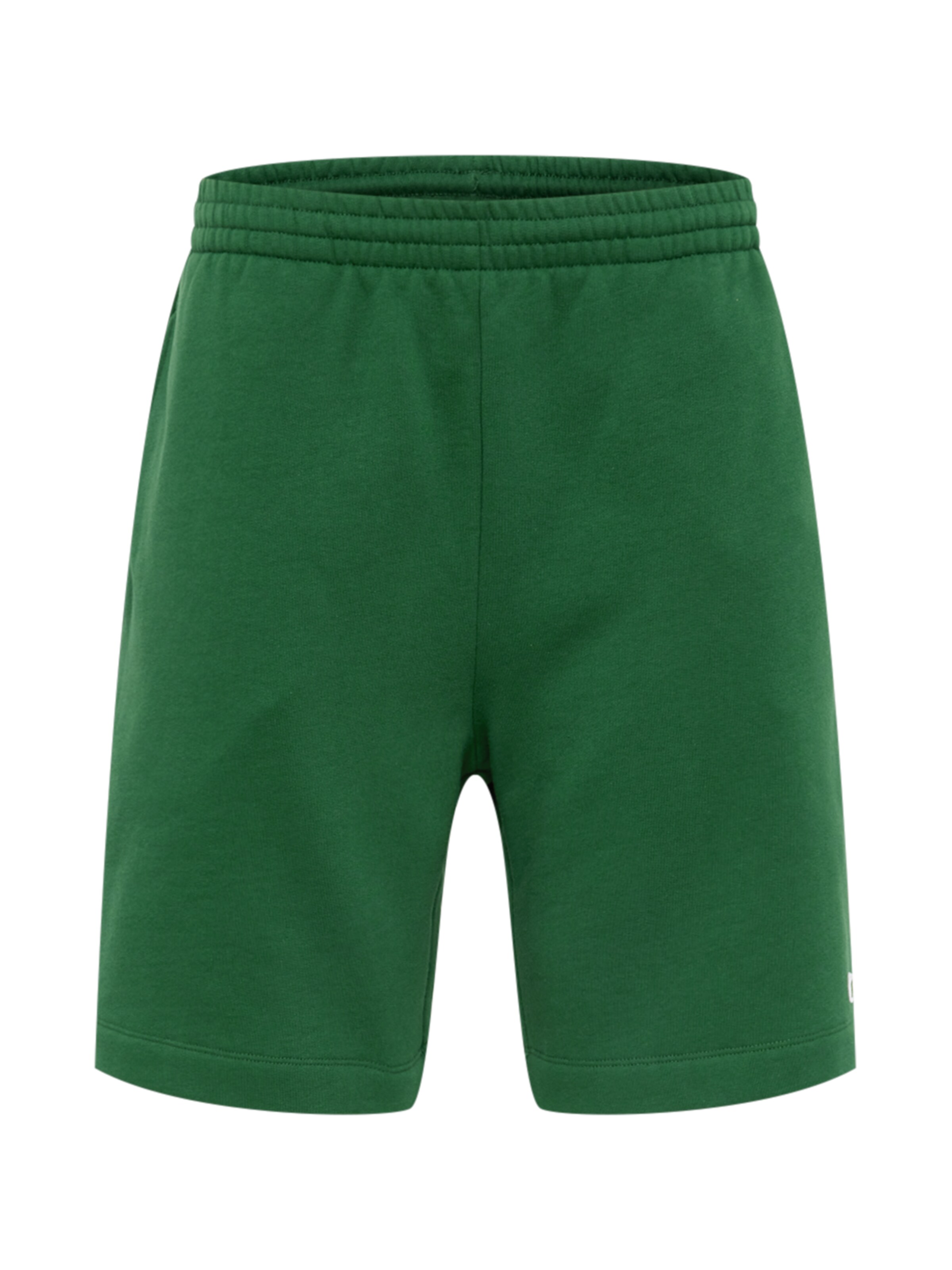 Regular Pantalon LACOSTE en vert : devant