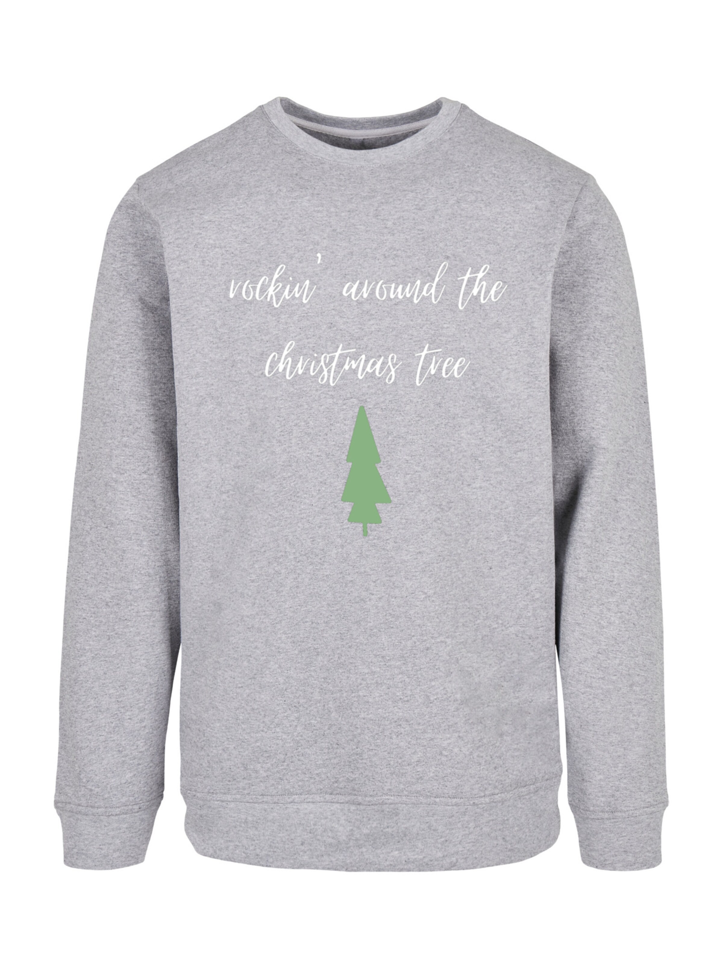 F4NT4STIC Sweatshirt in Grau: Vorderseite
