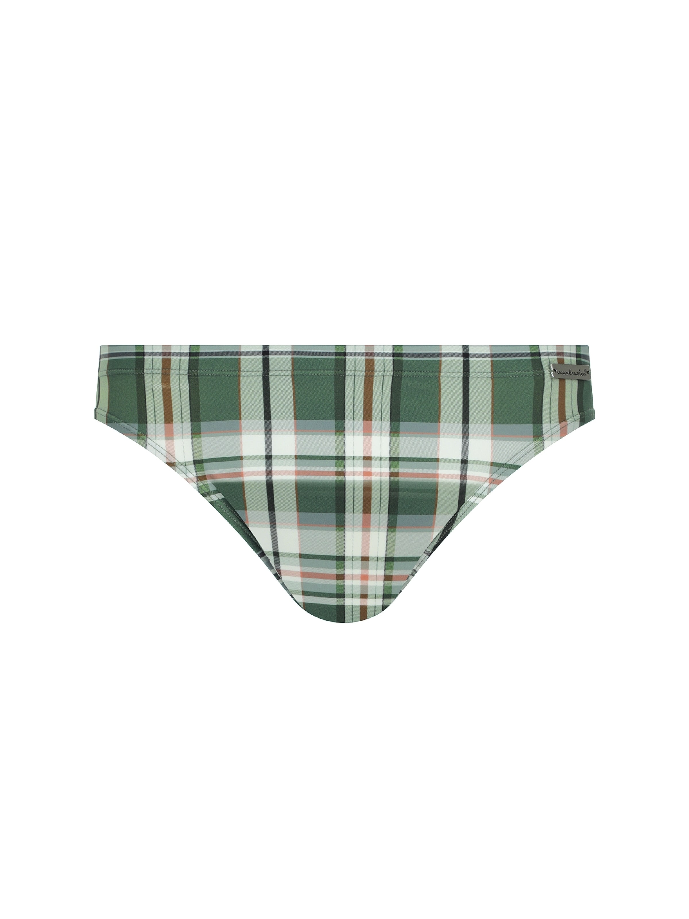 wavebreaker Swim Trunks in Green: front