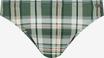 wavebreaker Swim Trunks in Green: front