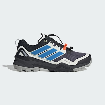 ADIDAS TERREX Lage schoen 'Skychaser' in Grijs
