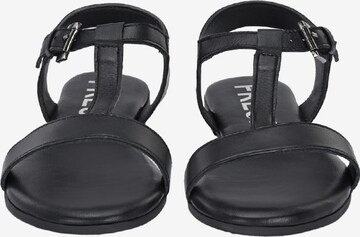 FREUDE Strap Sandals 'Alea' in Black