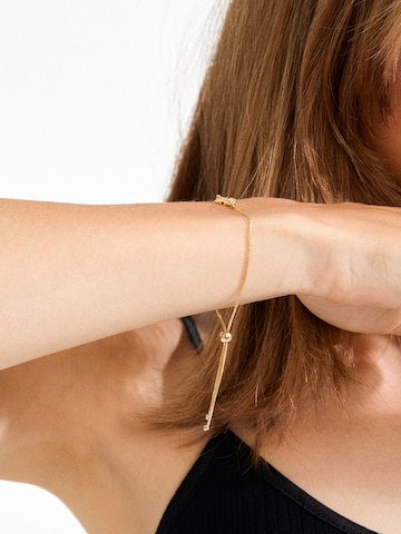 PilgrimNarukvica 'Dagmar' - zlatna boja