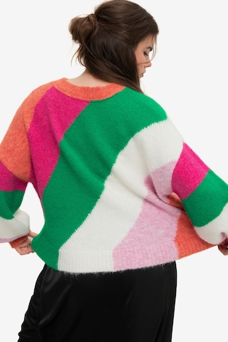 Pull-over Studio Untold en mélange de couleurs